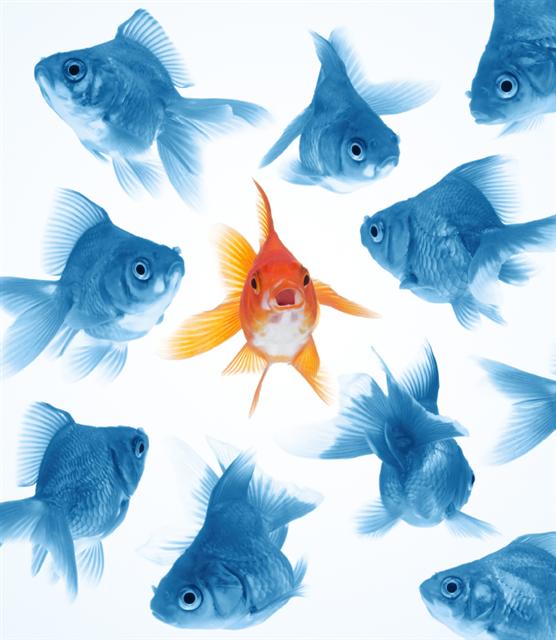 Feeling different but in fish simile style.